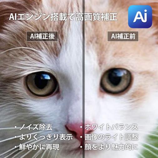 【Aiエンジン搭載】アクリルフォト（正方形）　色褪せない透明感