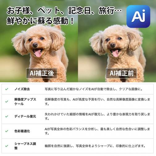 【Aiエンジン搭載】アクリルフォト（長方形）　色褪せない透明感