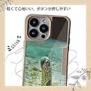 【Compos-Case】チンアナゴ