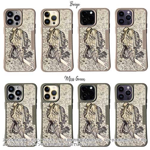 【Compos-Case】エギングでアオリイカ