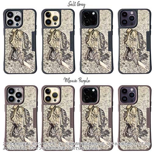 【Compos-Case】エギングでアオリイカ