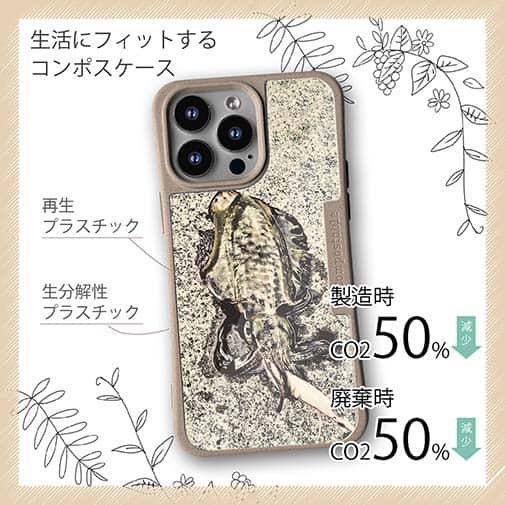 【Compos-Case】エギングでアオリイカ