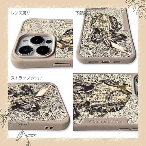 【Compos-Case】エギングでアオリイカ