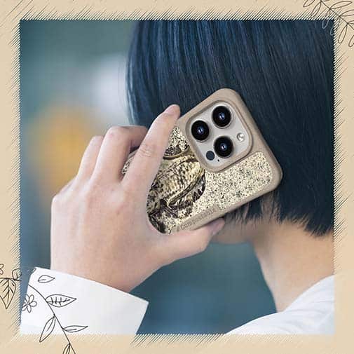 【Compos-Case】エギングでアオリイカ