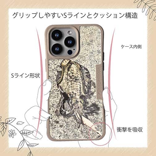 【Compos-Case】エギングでアオリイカ