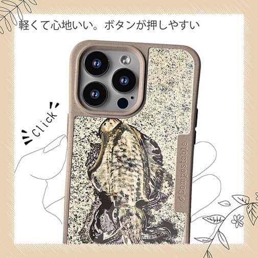 【Compos-Case】エギングでアオリイカ