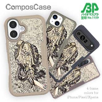 【Compos-Case】エギングでアオリイカ