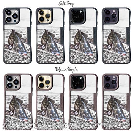 【Compos-Case】精悍なクロダイ(チヌ)