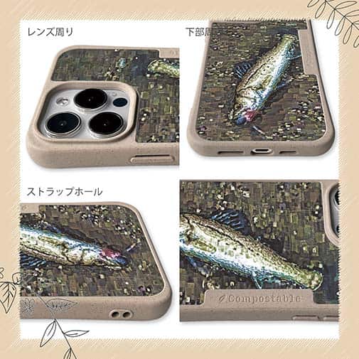 【Compos-Case】ルアーにヒットしたスズキ