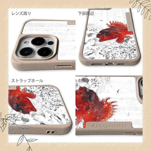 【Compos-Case】カサゴ幼魚