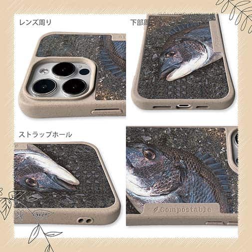 【Compos-Case】荒武者クロダイ(チヌ)