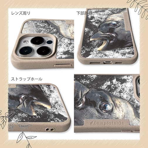 【Compos-Case】イシダイの強靭な歯