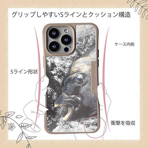 【Compos-Case】イシダイの強靭な歯