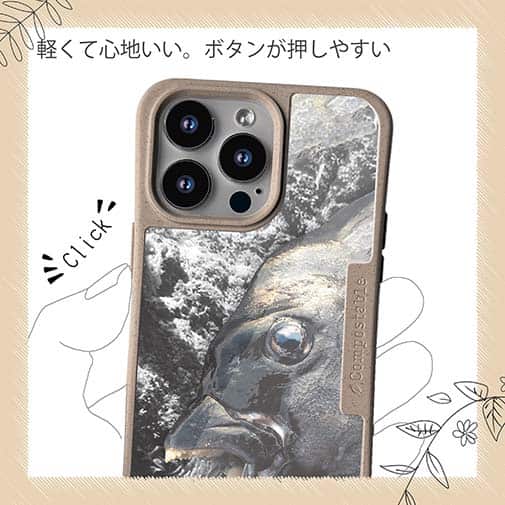 【Compos-Case】イシダイの強靭な歯