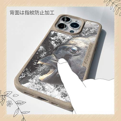 【Compos-Case】イシダイの強靭な歯