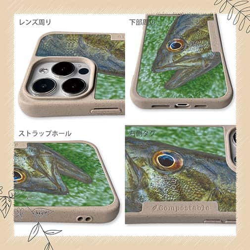 【Compos-Case】スモールマウスバス