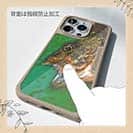 【Compos-Case】カサゴ