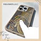 【Compos-Case】エギングにアオリイカ