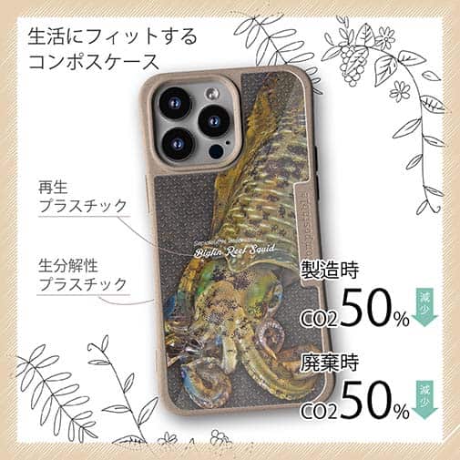 【Compos-Case】エギングにアオリイカ