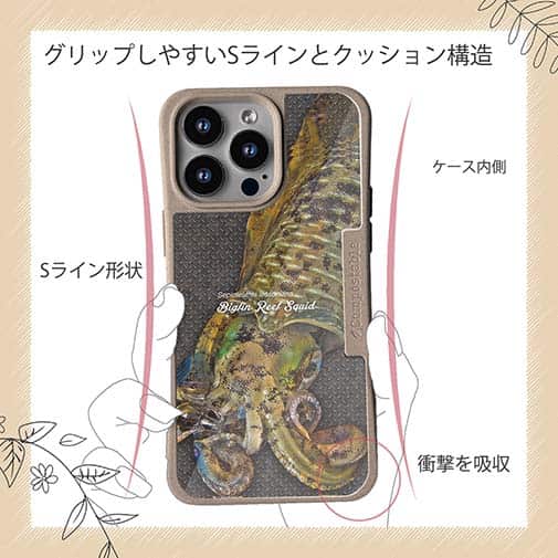 【Compos-Case】エギングにアオリイカ