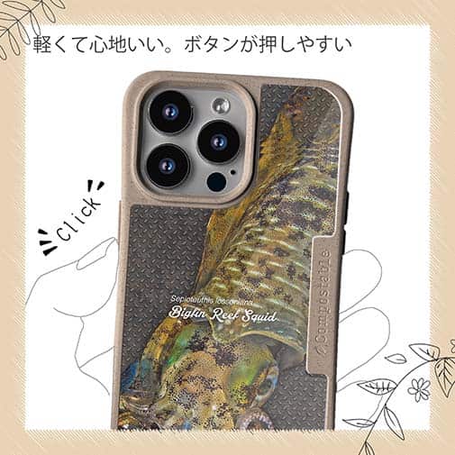 【Compos-Case】エギングにアオリイカ