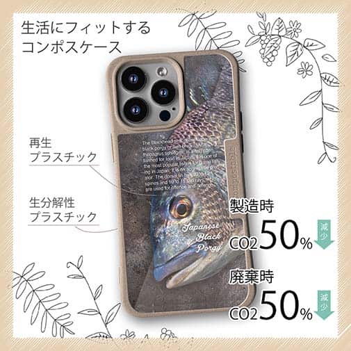 【Compos-Case】クロダイ(チヌ)の目