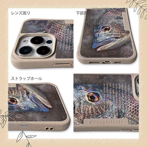 【Compos-Case】クロダイ(チヌ)の目