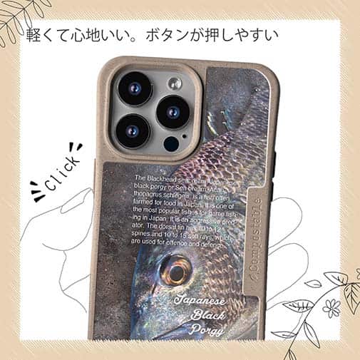 【Compos-Case】クロダイ(チヌ)の目