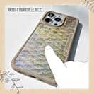 【Compos-Case】ヘラブナの鱗