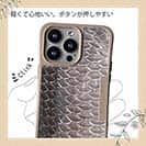 【Compos-Case】クロダイ鱗