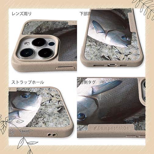 【Compos-Case】オナガグレ2