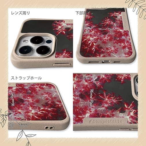 【Compos-Case】サンゴ　#8