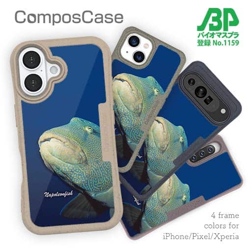 【Compos-Case】水中　ナポレオンフィッシュ