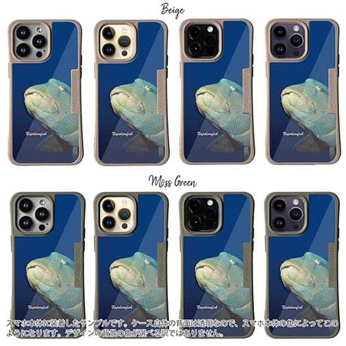 【Compos-Case】水中　ナポレオンフィッシュ