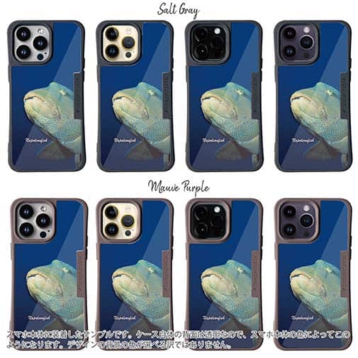 【Compos-Case】水中　ナポレオンフィッシュ