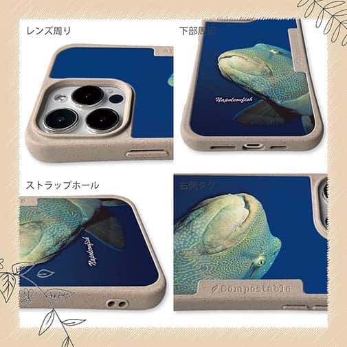 【Compos-Case】水中　ナポレオンフィッシュ