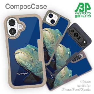 【Compos-Case】水中　ナポレオンフィッシュ
