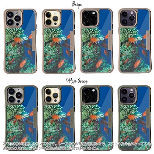 【Compos-Case】熱帯魚　No.1　マツカサ類