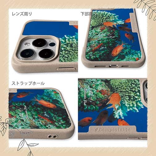 【Compos-Case】熱帯魚　No.1　マツカサ類