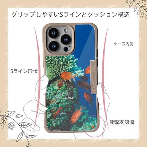 【Compos-Case】熱帯魚　No.1　マツカサ類