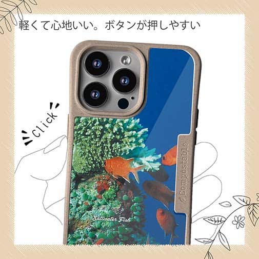 【Compos-Case】熱帯魚　No.1　マツカサ類