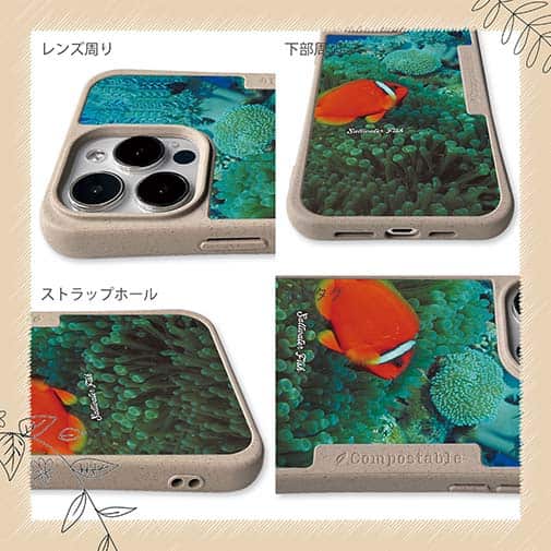 【Compos-Case】熱帯魚　No.3　ハマクマノミ