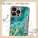 【Compos-Case】熱帯魚　No.6　デバスズメ