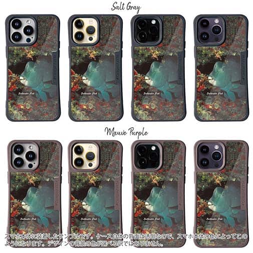 【Compos-Case】熱帯魚　No.7　アオブダイ