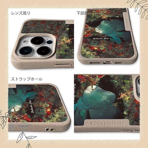 【Compos-Case】熱帯魚　No.7　アオブダイ