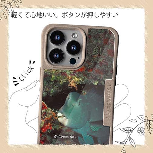 【Compos-Case】熱帯魚　No.7　アオブダイ