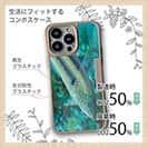 【Compos-Case】熱帯魚　No.8　キュウセンベラ