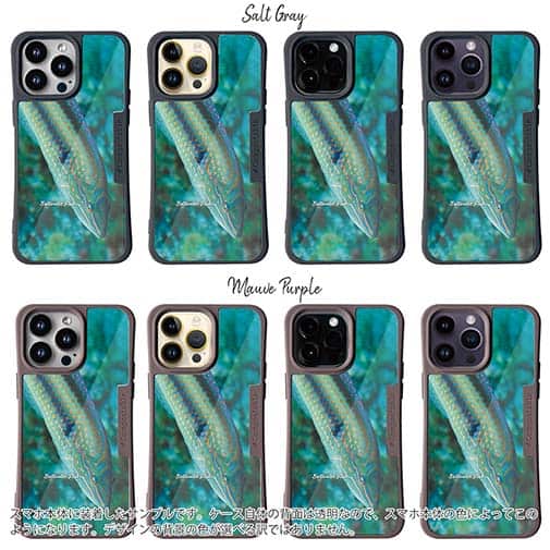 【Compos-Case】熱帯魚　No.8　キュウセンベラ