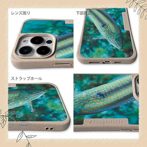 【Compos-Case】熱帯魚　No.8　キュウセンベラ