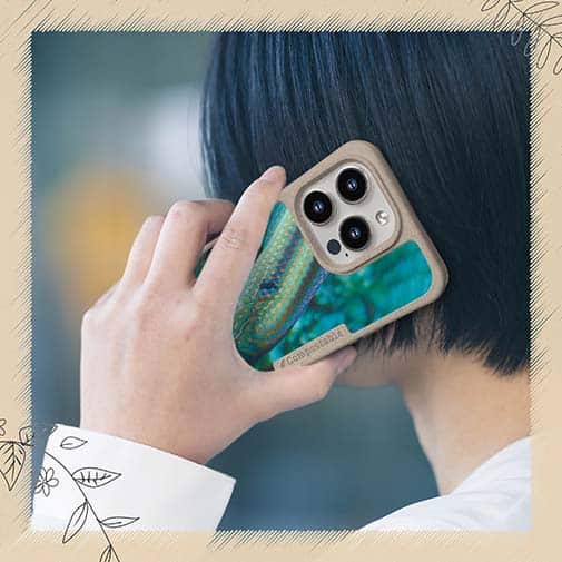 【Compos-Case】熱帯魚　No.8　キュウセンベラ